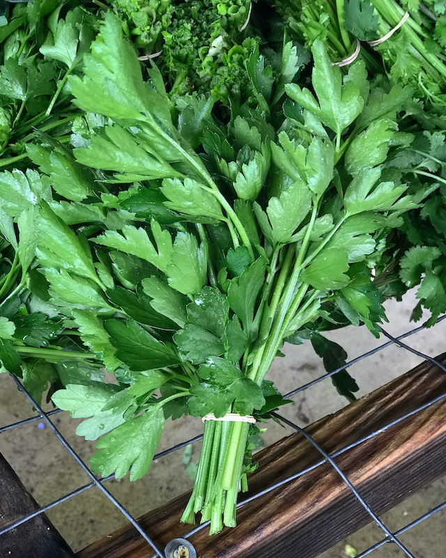 Parsley