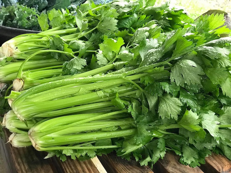 Celery