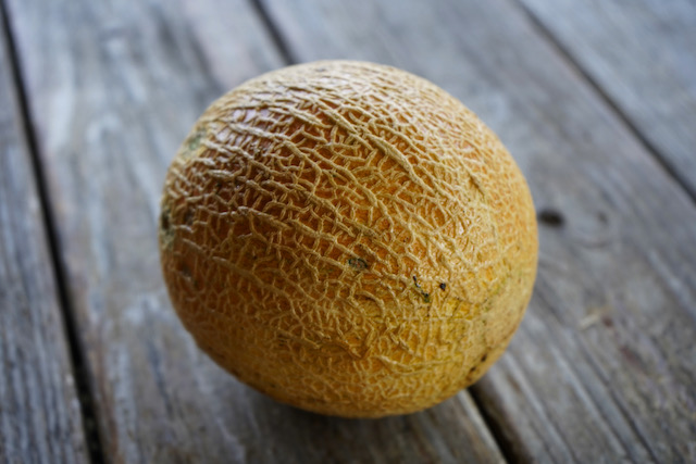 Cantaloupe