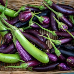 farmers%20market%20-%20long%20eggplant%20-%20Edited%20%281%29