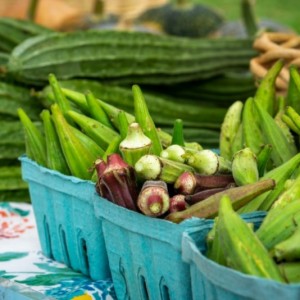 farmers%20market%20-%20okra%20-%20Edited