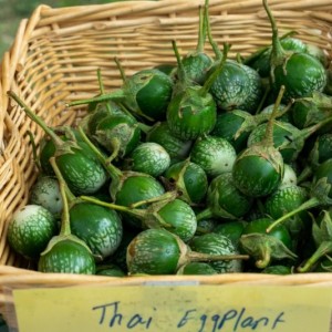 farmers%20market%20 %20thai%20eggplant