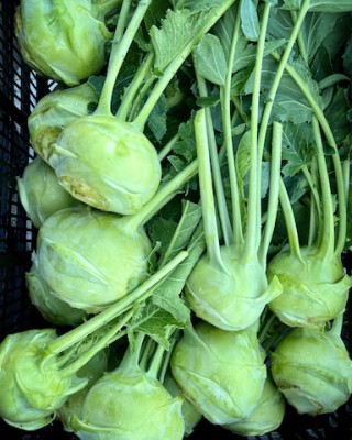 Kohlrabi